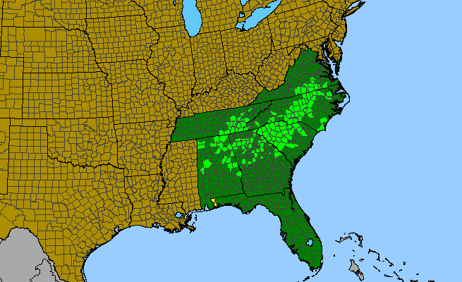 The native range of Aesculus sylvatica